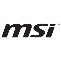 MSI logo